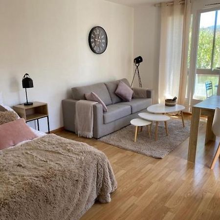 Studio 33 M2 , Climatise, Parking Exterieur Prive Gratuit Амели-ле-Бен-Палальда Экстерьер фото